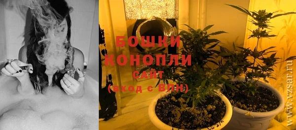 героин Бикин