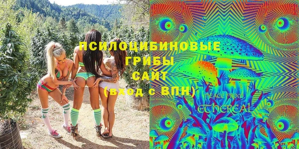 героин Бикин