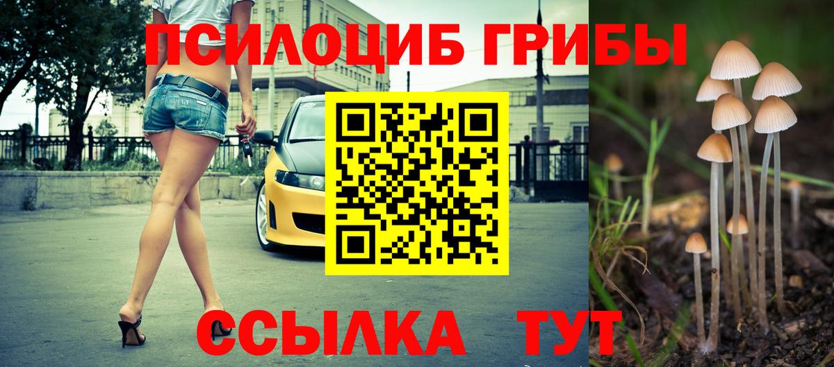 Псилоцибиновые грибы мухоморы Электрогорск