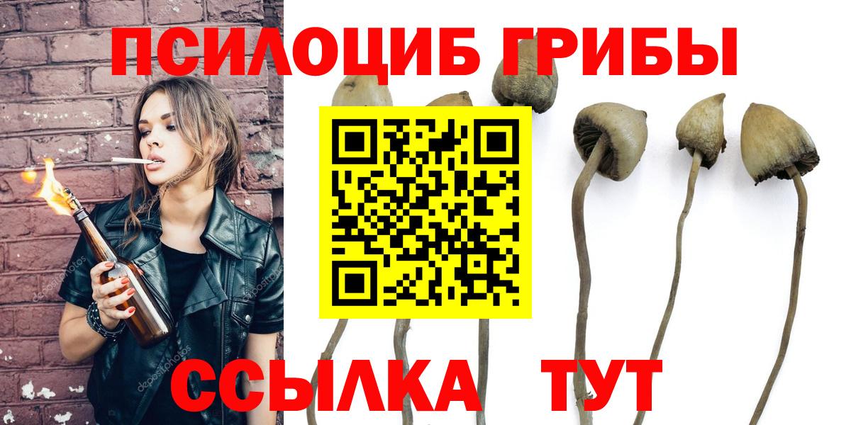 Галлюциногенные грибы Psilocybine cubensis  Псилоцибиновые грибы мицелий  купить закладку  Электрогорск 