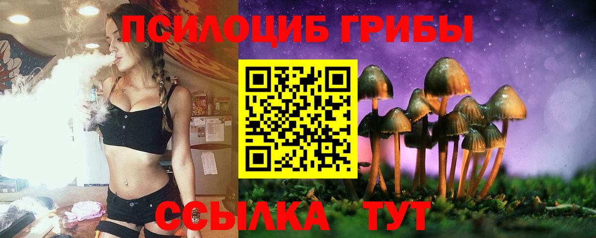 Галлюциногенные грибы Magic Shrooms  Вход с VPN  Электрогорск  Псилоцибиновые грибы MAGIC MUSHROOMS 