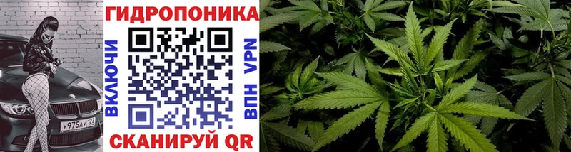 Бошки марихуана THC 21%  дарнет шоп  Электрогорск 